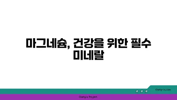 마그네슘의 놀라운 효능 7가지 | 건강, 영양, 섭취, 부족증, 건강 관리