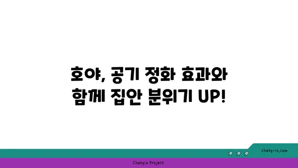 호야 키우기 완벽 가이드| 종류별 특징부터 관리 팁까지 | 호야, 식물 키우기, 실내 식물, 공기 정화 식물, 반려 식물