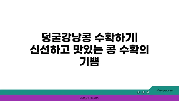 덩굴강낭콩 재배 가이드| 씨앗부터 수확까지 | 텃밭, 채소, 콩, 재배 방법, 팁, 요리