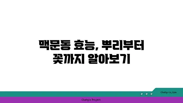 맥문동 효능과 재배 방법| 정원과 건강을 위한 완벽 가이드 | 약초, 뿌리, 꽃, 재배, 관리