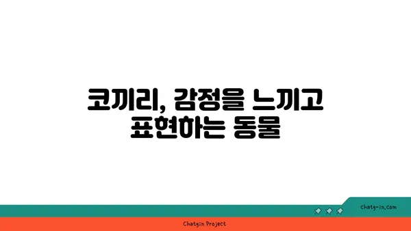 코끼리, 알고 보면 신기한 동물| 놀라운 능력과 특징 | 코끼리, 동물, 능력, 특징, 지능, 사회성