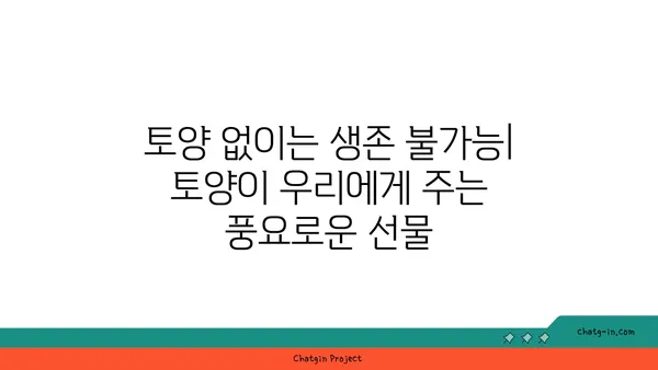 지구의 토양| 생명의 토대 - 우리 발 아래 숨겨진 놀라운 세계 | 토양의 중요성, 토양 오염, 지속가능한 토양 관리