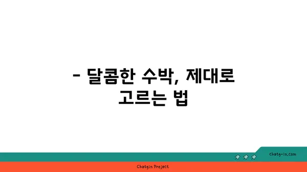 수박 맛있게 먹는 법| 씨 없는 수박 고르는 꿀팁부터 보관법까지 | 수박 고르기, 수박 보관, 수박 요리