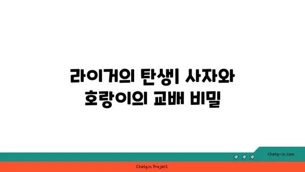 라이거| 사자와 호랑이의 만남, 놀라운 하이브리드 동물의 세계 | 라이거, 사자, 호랑이, 하이브리드, 동물