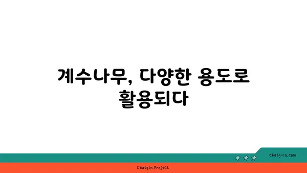 계수나무의 매력| 꽃, 열매, 나무 이야기 | 계수나무, 특징, 재배, 활용, 전설