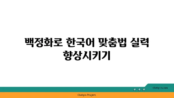 백정화| 한국어 맞춤법 검사 도구 활용 가이드 | 맞춤법 검사, 오류 수정, 문서 검토