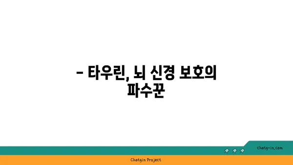 타우린의 뇌 건강 효능| 기억력, 집중력 향상 및 신경 보호 | 타우린, 뇌 기능, 건강, 영양소