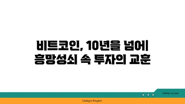 비트코인의 롤러코스터| 흥망성쇠를 거치며 배우는 교훈 | 암호화폐, 투자, 역사, 분석