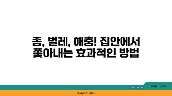 집안 좀과의 전쟁| 효과적인 방역 & 관리 가이드 | 좀, 벌레, 해충, 방역, 관리, 살충, 예방