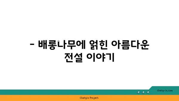 배롱나무의 매력, 꽃, 나무, 그리고 전설 이야기 | 배롱나무, 꽃, 나무, 전설, 특징, 재배