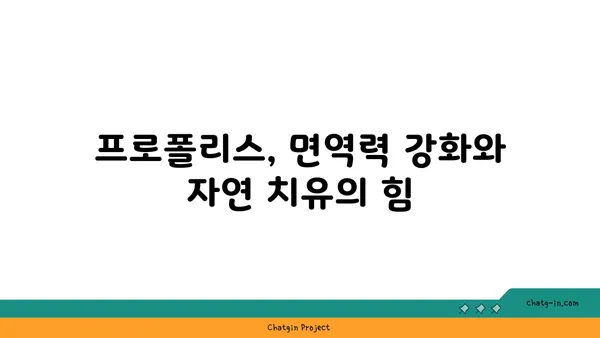 애완동물 건강 지키는 프로폴리스의 힘| 동물 치료 효과와 활용 가이드 | 프로폴리스, 애완동물 건강, 면역력 강화, 자연 치유