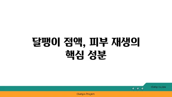 달팽이 크림, 피부에 득이 될까? | 달팽이 점액 성분, 효능, 추천 제품, 사용 후기, 주의 사항