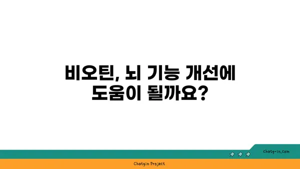 비오틴, 두뇌 건강에 어떤 영향을 미칠까요? | 비오틴 효능, 뇌 기능 개선, 건강 정보