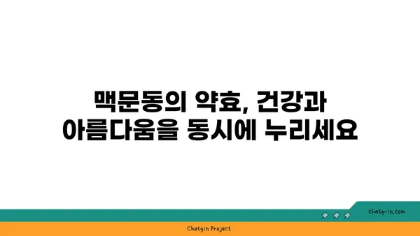 맥문동 정원, 자연 치유의 아름다움을 가꾸다| 맥문동 재배 가이드 | 정원 디자인, 약초, 건강