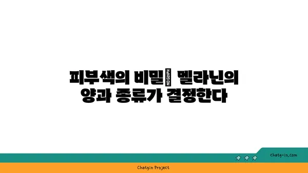 멜라닌의 비밀| 피부, 모발, 눈 색깔을 결정하는 멜라닌의 역할과 종류 | 피부색, 멜라닌 생성, 색소 침착