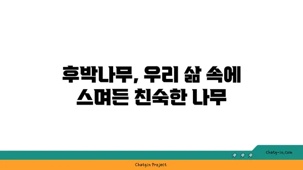 후박나무의 매력| 약효, 재배, 그리고 전설 | 나무, 약용식물, 전통 지식, 민간요법