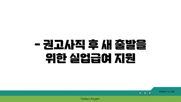 권고사직 후에도 희망은 있다! 실업급여 신청 완벽 가이드 | 권고사직, 실업급여, 신청 방법, 자격, 절차, 서류