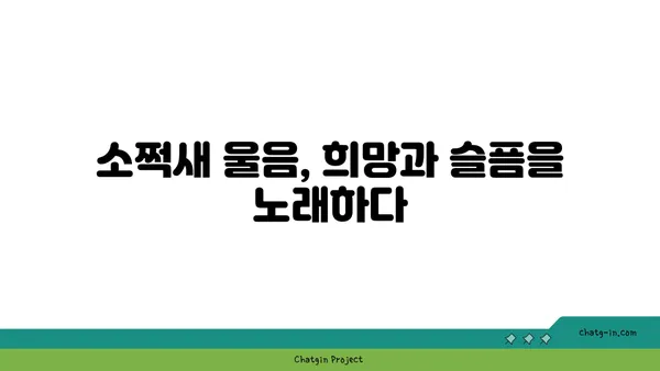 소쩍새 울음소리, 그 의미와 전설 | 한국 전통 문화, 밤의 정령, 민속 이야기