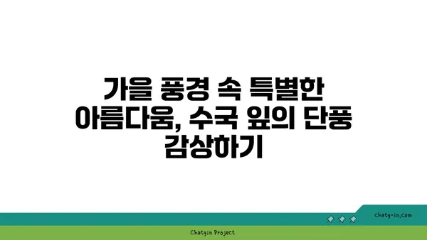 수국의 잎, 가을 색으로 물들다| 계절의 변화를 감상하는 특별한 방법 | 수국, 가을, 단풍, 잎, 감상