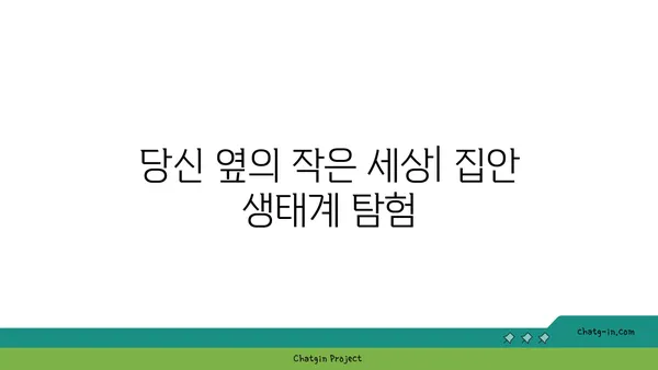 좀 생태계| 집안 속 미지의 세계 탐험 | 곤충, 거미, 진드기, 생물 다양성, 집안 환경