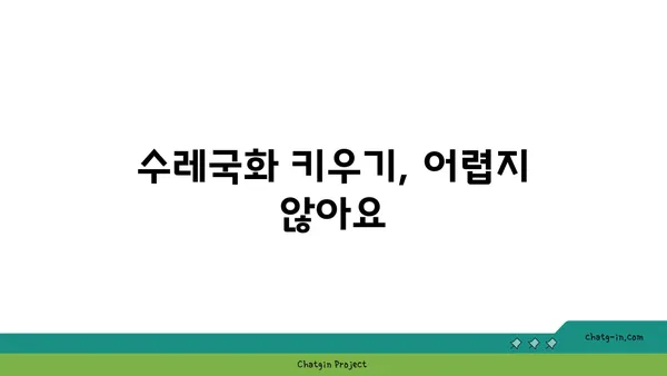 수레국화의 매력에 빠지다| 꽃말, 전설, 재배 정보 | 야생화, 꽃, 식물, 정원