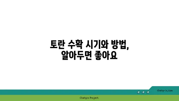 토란 재배 성공 가이드| 씨앗부터 수확까지 완벽한 팁 | 토란 재배, 토란 키우기, 토란 농사