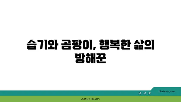 집안 좀, 건강과 행복을 위협하다| 당신의 삶에 미치는 영향 | 곰팡이, 습기, 건강 문제, 해결책