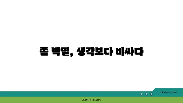 좀 때문에 망가지는 내 집, 얼마나 손해일까? | 숨겨진 비용 폭로, 좀의 재정적 영향