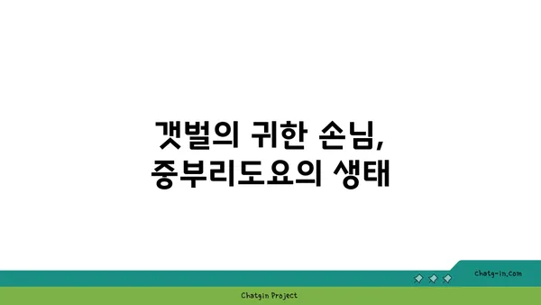 중부리도요의 비밀| 생태, 분포, 보호 | 멸종위기종, 철새, 서식지, 보존