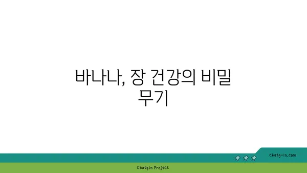 장 건강 지키는 똑똑한 방법| 바나나의 놀라운 효능 | 장 건강, 바나나, 건강 식단, 섬유질, 소화