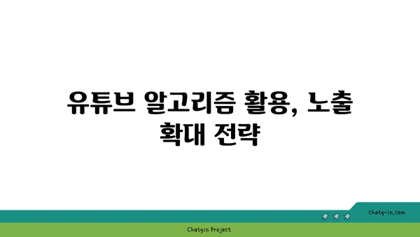 유튜브 채널 성장을 위한 핵심 전략 5가지 | 유튜브 마케팅, 채널 성장, 구독자 증가