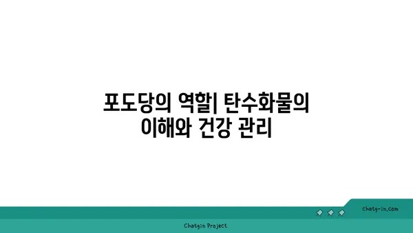 포도당의 모든 것| 구조, 기능, 그리고 건강 | 탄수화물, 에너지, 혈당, 당뇨병, 영양