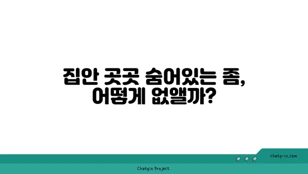 집안 좀과의 전쟁| 효과적인 방역 & 관리 가이드 | 좀, 벌레, 해충, 방역, 관리, 살충, 예방