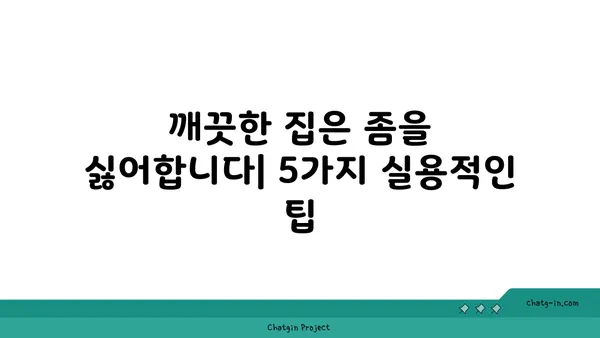 깨끗한 집의 비밀| 좀을 쫓아내는 5가지 실용적인 기술 | 벌레 퇴치, 집 청소, 홈 케어