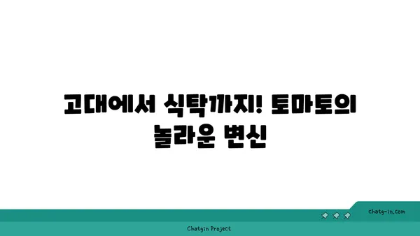 토마토의 놀라운 변신| 역사 속 흥미로운 이야기와 건강 전통 | 토마토, 역사, 건강, 영양, 레시피