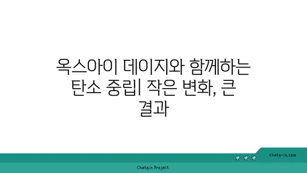 탄소 배출 감소에 도움이 되는 옥스아이 데이지| 심는 방법과 효과 | 탄소 중립, 환경 보호, 식물의 힘