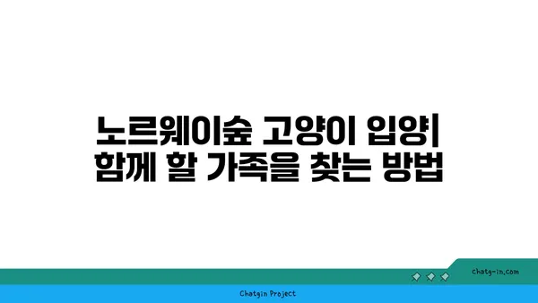 노르웨이숲 고양이 완벽 가이드| 성격, 외모, 건강, 그리고 입양 | 노르웨이숲, 고양이 종류, 반려묘, 분양