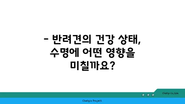 개의 수명, 품종별로 얼마나 될까요? | 개 수명, 평균 수명, 품종별 수명, 수명 연장 팁