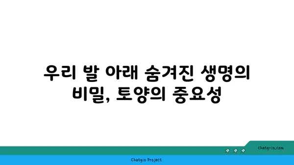 지구의 토양| 생명의 토대 - 우리 발 아래 숨겨진 놀라운 세계 | 토양의 중요성, 토양 오염, 지속가능한 토양 관리