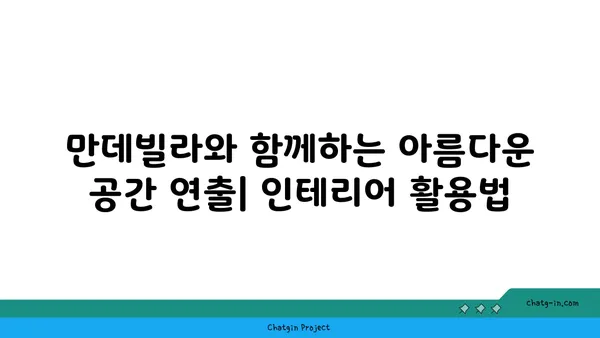 만데빌라 키우기 완벽 가이드 | 꽃 피우기, 관리법, 번식, 종류