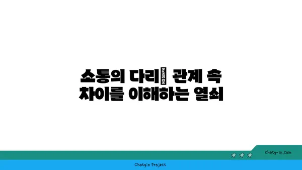 커넥션의 다양성| 인종, 문화, 종교 간 차이 이해하기 | 관계, 소통, 다문화