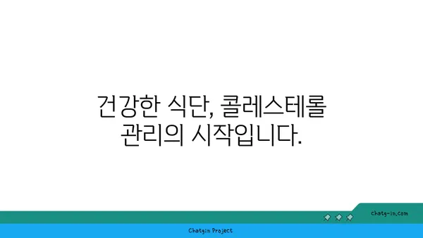 지지식 콜레스테롤 관리 가이드| 건강 관찰 및 생활 방식 변화로 건강 되찾기 | 콜레스테롤, 건강 관리, 생활 습관