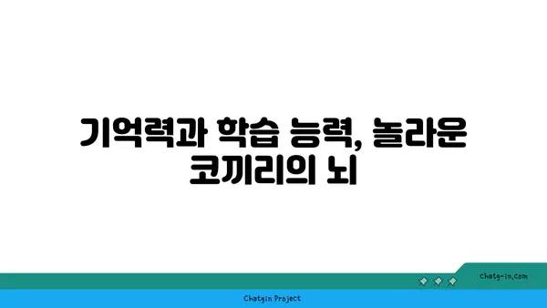 코끼리, 알고 보면 신기한 동물| 놀라운 능력과 특징 | 코끼리, 동물, 능력, 특징, 지능, 사회성