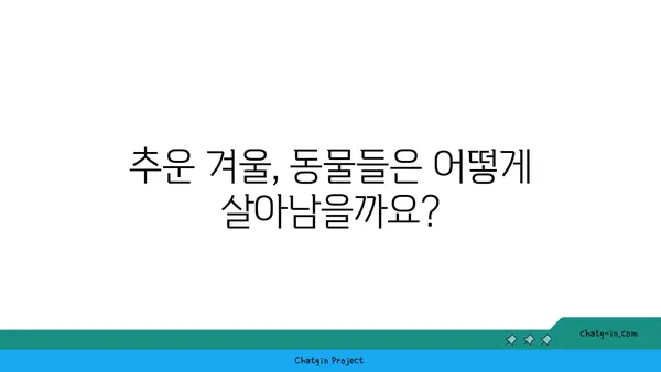 동물들의 겨울잠| 동면의 비밀 | 동물, 겨울잠, 생존 전략, 자연