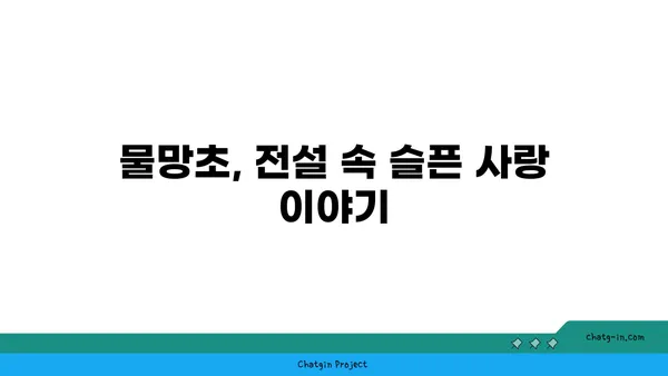 물망초 꽃말과 전설| 잊지 못할 사랑의 의미 | 꽃말, 전설, 의미, 사랑, 선물, 기념