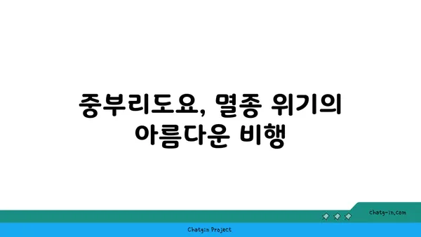 중부리도요의 비밀| 생태, 분포, 보호 | 멸종위기종, 철새, 서식지, 보존