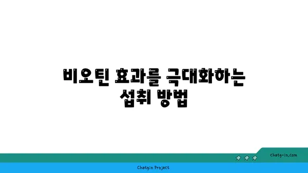 비오틴, 신진대사를 끌어올리는 비밀| 효과적인 섭취 방법과 주의 사항 | 비오틴, 신진대사, 건강, 영양, 섭취