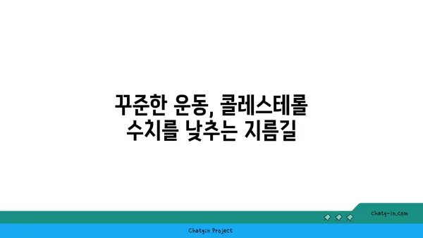 콜레스테롤 관리, 이렇게 하면 효과적입니다 | 건강, 식단, 운동, 혈액 검사, 예방