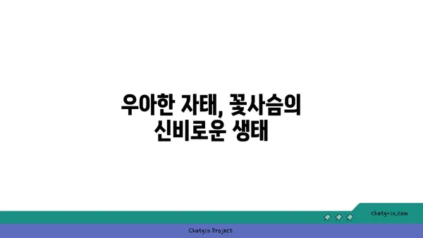 꽃사슴, 그 아름다운 비밀을 파헤쳐 보세요! | 꽃사슴, 사슴, 동물, 야생동물, 한국 동물