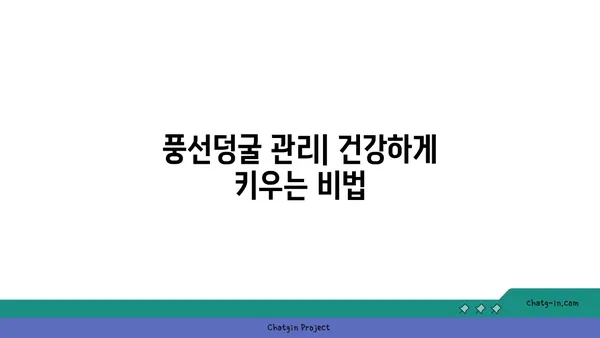 풍선덩굴 키우기| 햇살 가득한 정원을 위한 완벽한 가이드 | 풍선덩굴, 재배, 관리, 번식, 종류